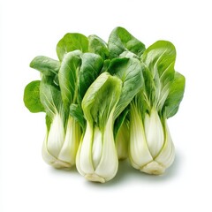 Fresh bok choy vegetable group on white background