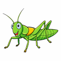 green grasshopper isolated on white background