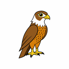 eagle isolated on white