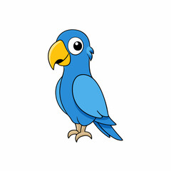 blue and yellow macaw