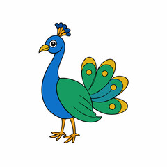 peacock on white background