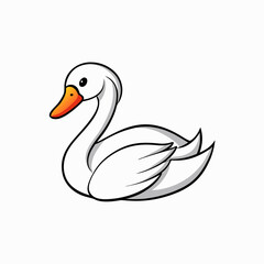 swan vector illustration