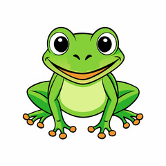 green frog isolated on white