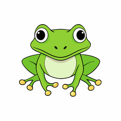 frog on white background