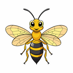 bee on white background