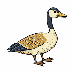 duck isolated on white