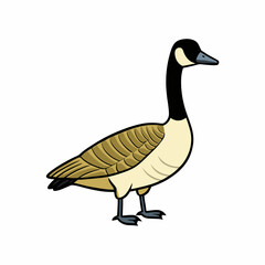 goose isolated on white background