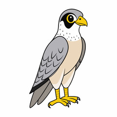 vector illustration of a bird