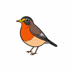 robin on a branch