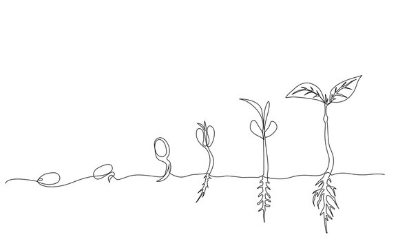 Continuous one line drawing illustrating the growth stages of a plant, from seed germination to seedling with leaves. Minimalist botanical concept. Vector illustration, Editable stroke