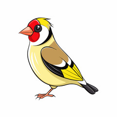 vector illustration of a bird