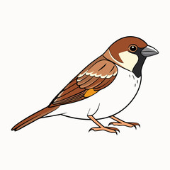 bird on a branch