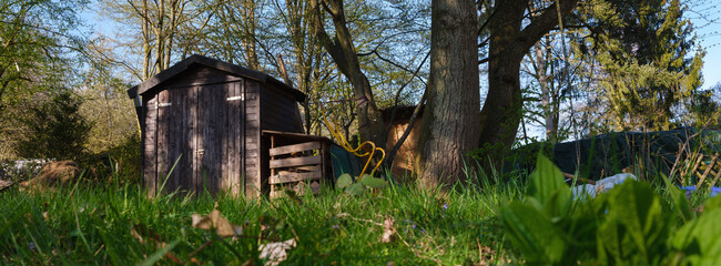 Der Frühling beginnt im Kleingarten mit satten Grün