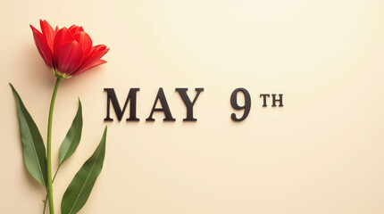 A single red poppy stands alone on a calm beige background, symbolizing May 9th with minimalism and dignity, perfect for a commemorative or background image.