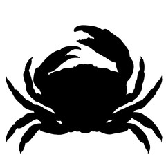 Illustration of crab silhouette