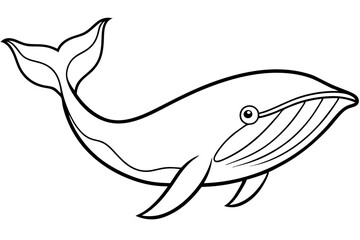 Simple Whale Sketch Vector