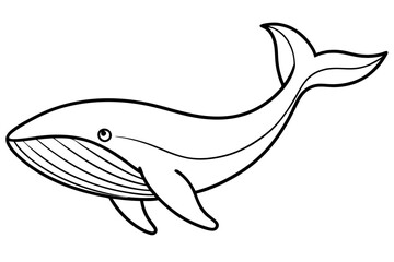 Simple Whale Sketch Vector
