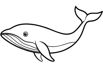 Simple Whale Sketch Vector
