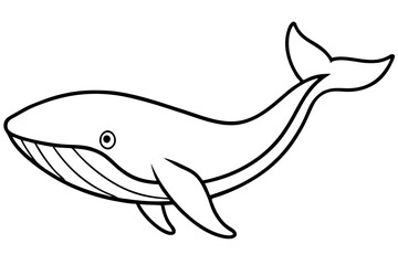 Simple Whale Sketch Vector
