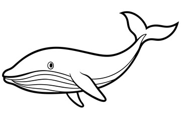 Simple Whale Sketch Vector