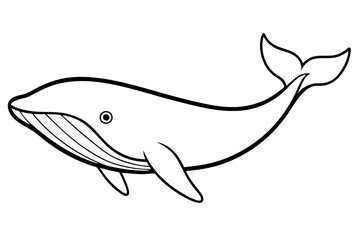 Simple Whale Sketch Vector