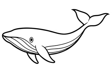 Simple Whale Sketch Vector