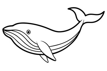 Simple Whale Sketch Vector