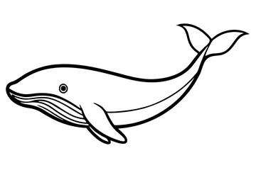 Simple Whale Sketch Vector