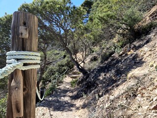 Rope fence guiding hikers along a picturesque trail, winding through a vibrant forest on a sunny...