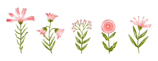 Hand drawn red wildflowers. Field springtime blossom flowers on isolated background. Summer floral set