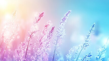 Delicate stalks of vibrant wildflowers bathed in soft pastel light