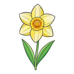 yellow flower isolated on white background