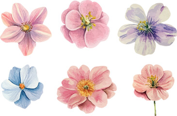 collage of flowers