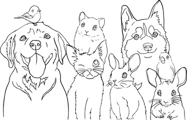 Black and white line drawing of various pets grouped together, including a dog with a small bird on its head, cats, a hamster, a husky, a rabbit, and birds. coloring page use