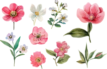 Fotobehang Tropische Bladeren set of pink flowers  © asadul