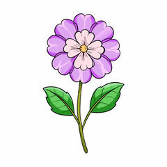 violet flower isolated on white background