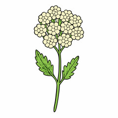 Obraz premium vector illustration of a flower