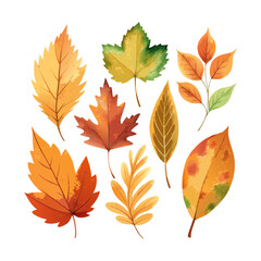 Autumn leaves,Watercolor clipart,Fall foliage,Hand-drawn leaves,Fall watercolor,Seasonal clipart,Autumn decor,Fall digital art,Thanksgiving clipart,Fall nature elements,Watercolor leaves,Autumn design