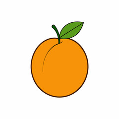 vector illustration of orange fruit