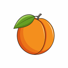 orange isolated on white background