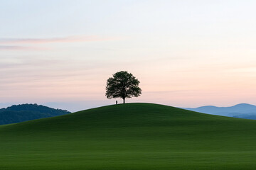 Walking in a tranquil landscape at dusk with a solitary tree on a green hill