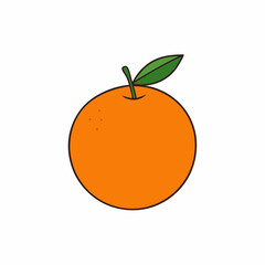 vector illustration of an orange