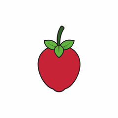 vector illustration of an apple