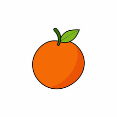 orange fruit vector illustration
