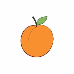 vector illustration of an orange