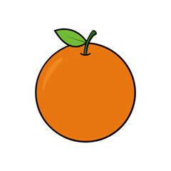vector illustration of an orange