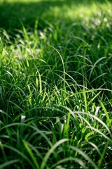a close up of a fire hydrant in a grassy field