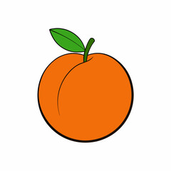 vector illustration of an orange