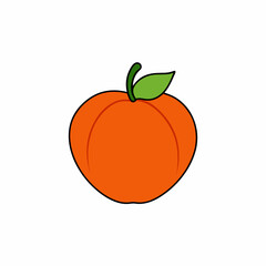 vector illustration of an orange fruit