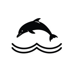 dolphin isolated on white